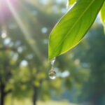 ¿Qué significa soñar con gota?