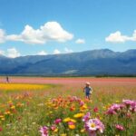 ¿Qué significa soñar con primavera?