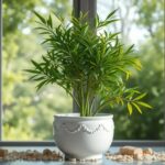 Bambú de la Suerte: significado y usos (Lucky bamboo stalk)