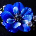 Broche de Flor de Anémona: significado y usos (Anemone flower brooch)