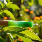 Cigarra de Jade: significado y usos (Jade cicada)