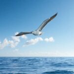 ¿Qué significa soñar con albatros?