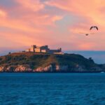 ¿Qué significa soñar con alcatraz?
