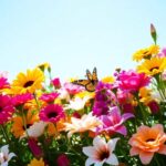 ¿Qué significa soñar con flores de colores?
