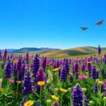 ¿Qué significa soñar con flores moradas?