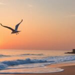 ¿Qué significa soñar con gaviota?