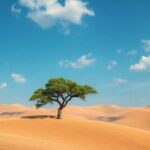 ¿Qué significa soñar con movimiento de tierra?