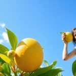 ¿Qué significa soñar con plátano?