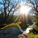 ¿Qué significa soñar con salamandra?