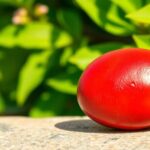 Semilla de Abrus precatorius: significado y usos (Abrus precatorius seed)